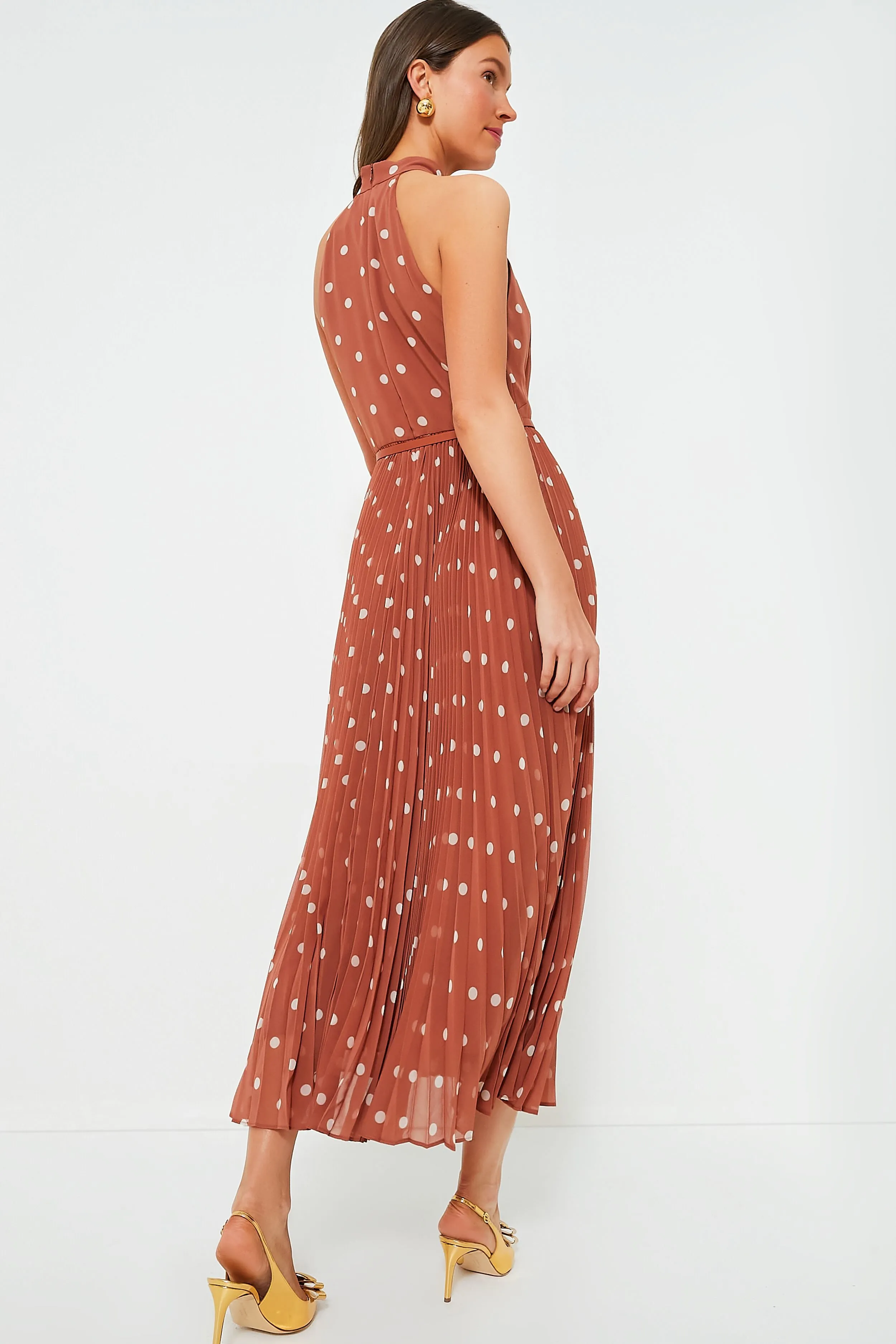 Aragon and Cream Dot Sunray Picnic Dress