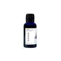 Focus Blend Essential Oil - 30ml