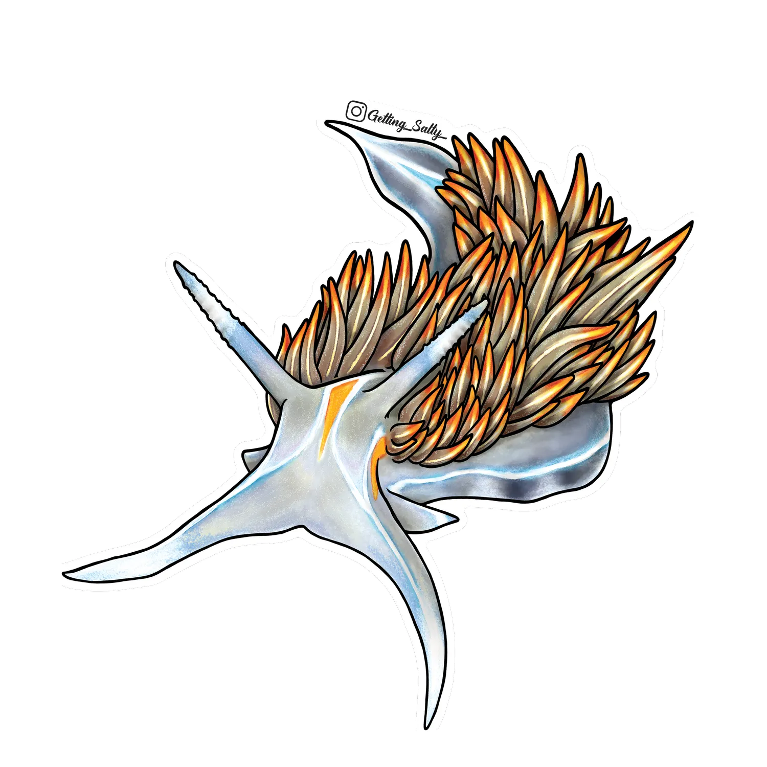 Getting Salty Opalescent Nudibranch