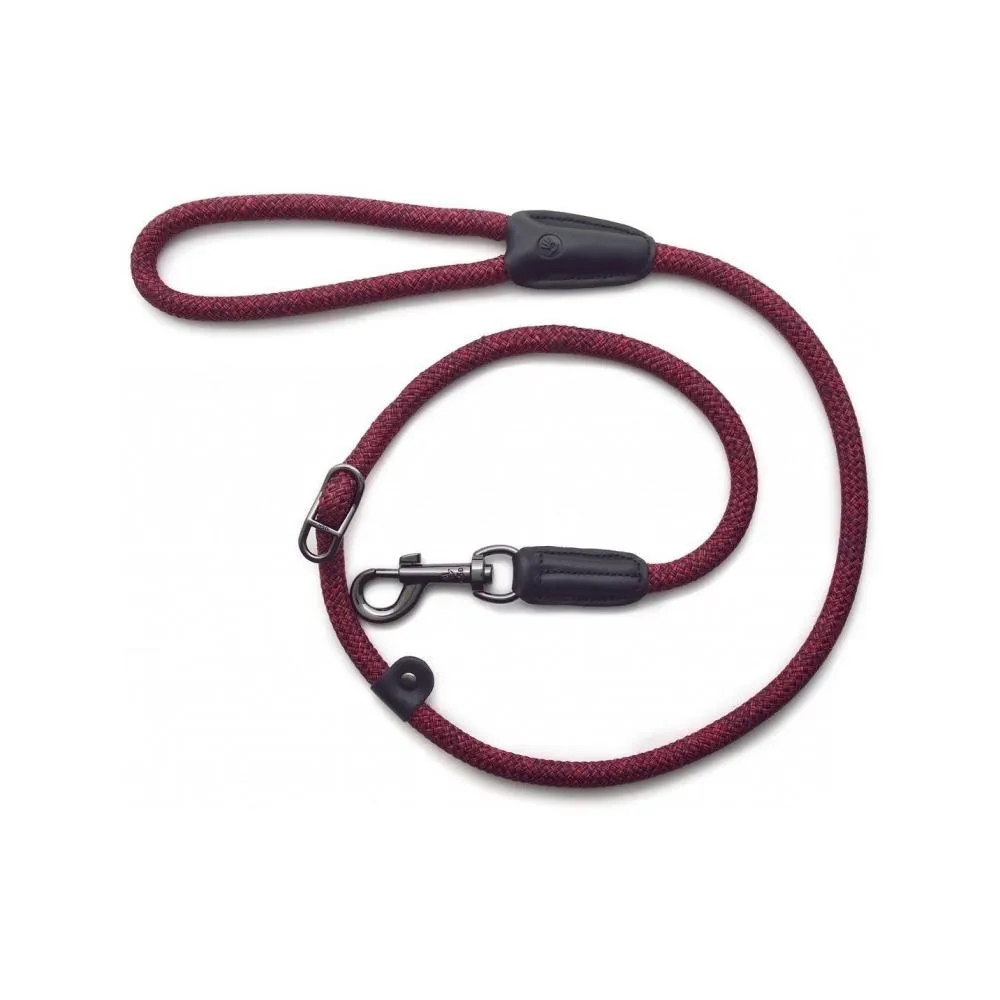 Metro Collar & Slip Leash